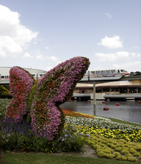 Butterfly Monorail